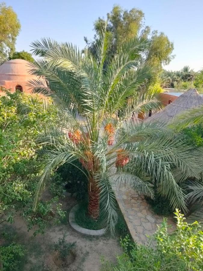 Rahala Safari Hotel Farafra Экстерьер фото